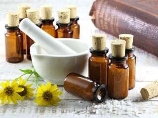 FITOTERAPIA Y NUTRICIÓN