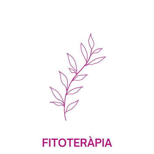 FITOTERAPIA