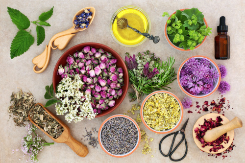 FITOTERAPIA 