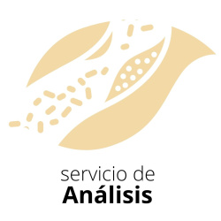 Pruebas Analíticas