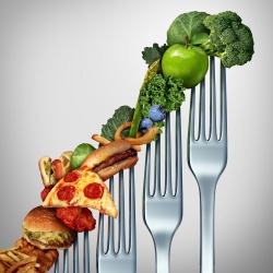 Assessorament dietètic i nutricional 