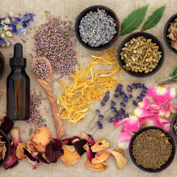 Consell homeopàtic i fitoteràpia 