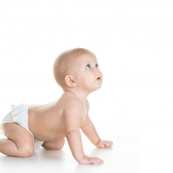 Cistelles personalitzades per nadons