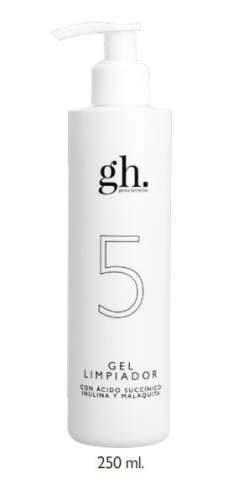 Gh 5 gel limpiador 250 ml