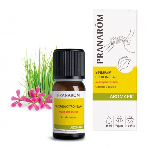Mezcla difusión - sinergia citronela+ - 10 ml - pranarom aromapic