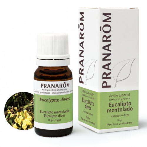 Eucalipto mentolado - 10 ml - pranarom aeqt