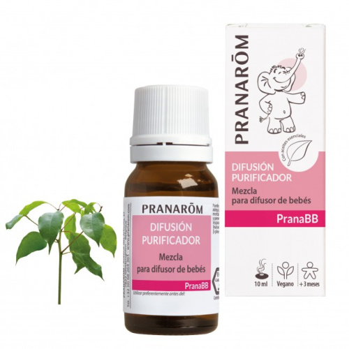 Difusión purificador - 10 ml - pranarom pranabb