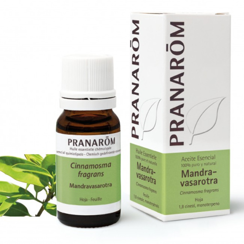 Aceite esencial  mandravasarotra - 10 ml - pranarom aeqt
