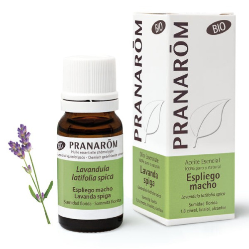 Pranarom espliego macho sumidad florida 10ml