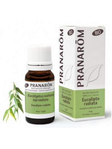 PRANAROM ACEITE ESENCIAL EUCALIPTO RADIATA 10 ML BIO