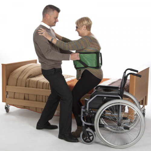 Cinturón De Transferencia