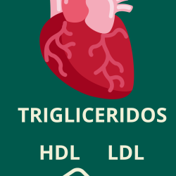 Análisis perfil lipídico