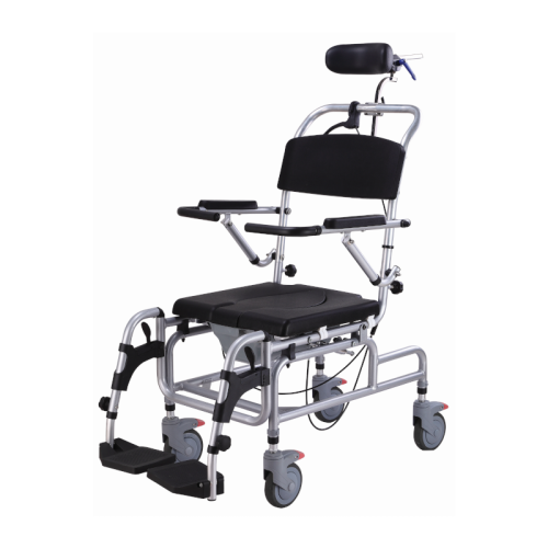 Silla Basculante AQUARIO con Ruedas e Inodoro