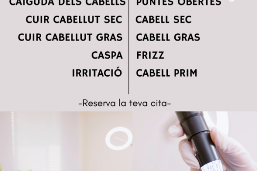 17 octubre: ANÀLISI CAPIL·LAR