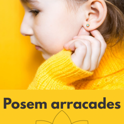 Posem arracades