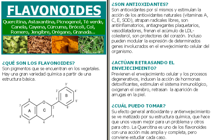 flavonoides, quercetina, astaxantina, picnogenol, té verde, canela, cayena, cúrcuma, brócoli, col, romero, jengibre, orégano, granada, antioxidantes, prevención de envejecimiento