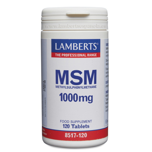 MSM 100 MG LAMBERTS 120 COMPRIMIDOS