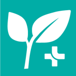 Consell i seguiment homeopàtic