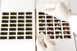 Sistema personalitzat de dosificació (SPD)