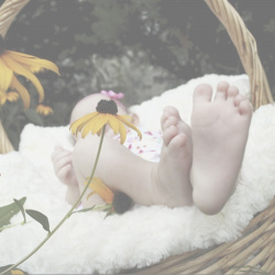 Cistelles personalitzades per nadons