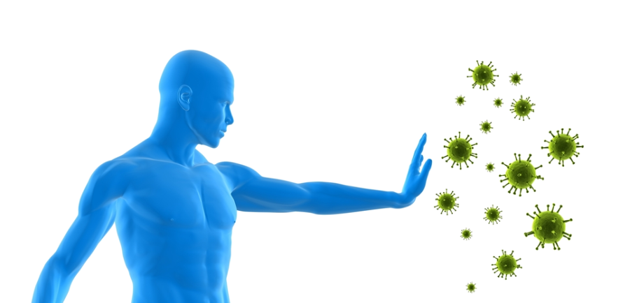 Mima les teves defenses