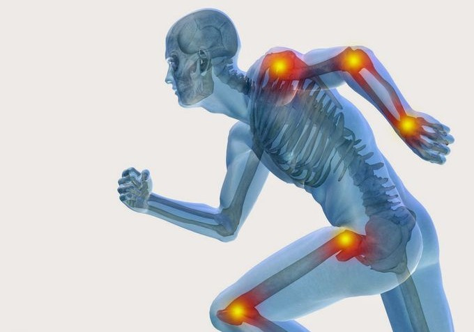 Col.lagen i els seus companys de viatge.