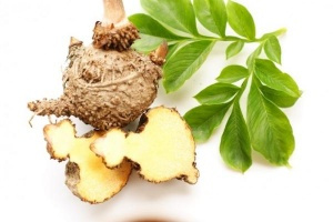 Control de pes, la ajuda de les plantes