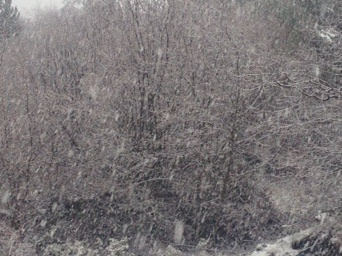 Arriba el fred!! Ens protegim?