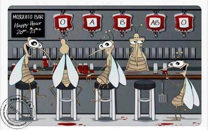 Mini Vampirs en acció