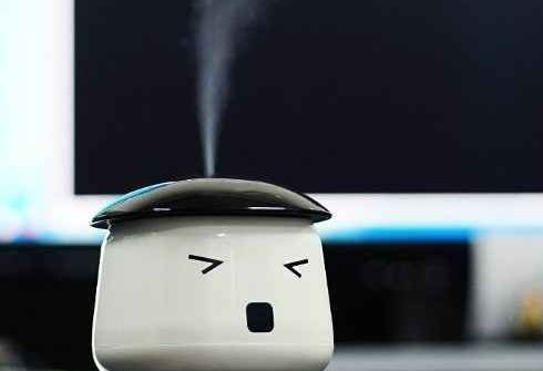 Què en sabem dels humidificadors?