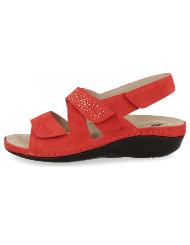 D'torres alice 10 rojo 42