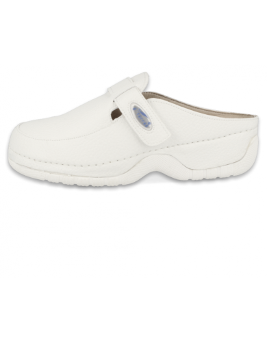 D'torres master 2000 blanco