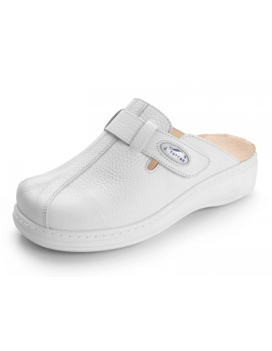 D'torres master plus blanco 37