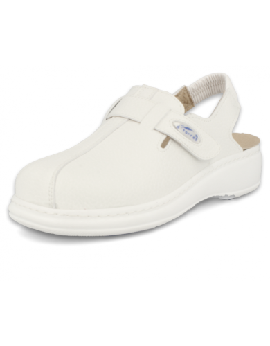 D'torres master plus tira blanco 44