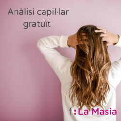 Anàlisi capil·lar