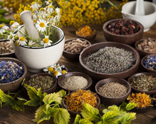 Consejo en homeopatía y fitoterapia 