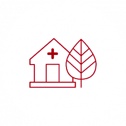 Consejo en homeopatía y fitoterapia 