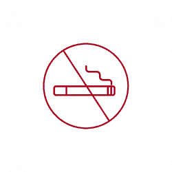 Deshabituación tabáquica 