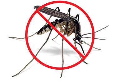 Stop a los mosquitos: nuestros consejos