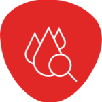 Anàlisi de perfil lipídic  (colesterol total, HDL,  LDL i triglicèrids)