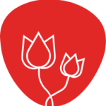 Teràpia floral (Flors de Bach), fitoteràpia, aromateràpia i homeopatia