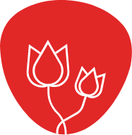 Terapia floral (Flores de Bach), fitoterapia, aromaterapia y homeopatía