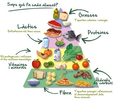 La importància d’aconseguir una nutrició òptima