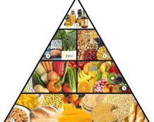 SERVICIO DE NUTRICION Y SALUD "SAFIN"