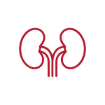 Revisa tus riñones en 5 minutos