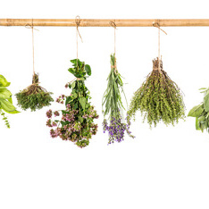 Consell homeopàtic i fitoteràpia 