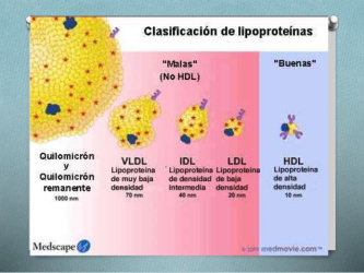 Anàlisi perfil lipídic