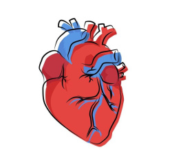 Determinación del riesgo cardiovascular 