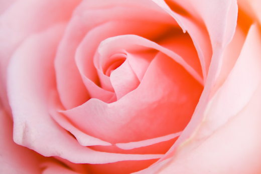 Todo lo que debes saber sobre tu higiene íntima