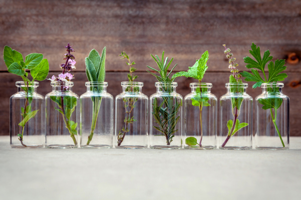 Dietètica i fitoteràpia